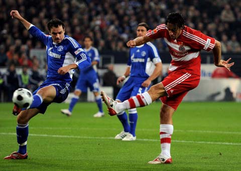 对球队结构 对球队结构